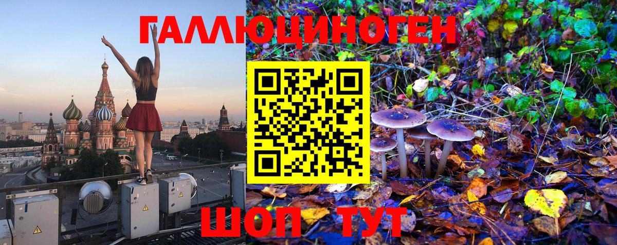 Псилоцибиновые грибы Cubensis Сочи